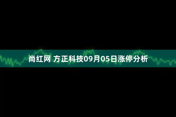 尚红网 方正科技09月05日涨停分析