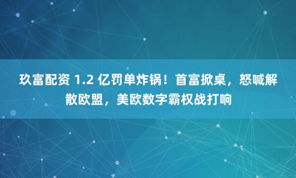 玖富配资 1.2 亿罚单炸锅！首富掀桌，怒喊解散欧盟，美欧数字霸权战打响